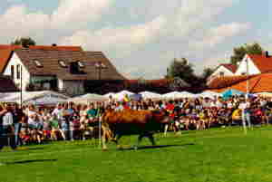 Bildbeschreibung2