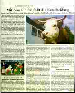 Bildbeschreibung1